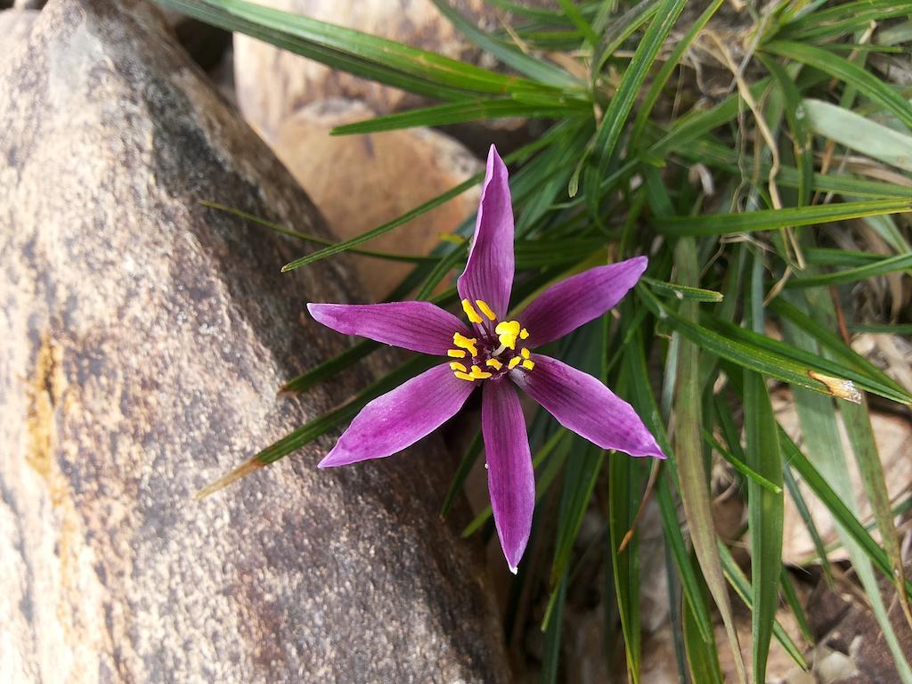 Pousada Anauê Cipó Serra do Cipo National Park Exterior foto